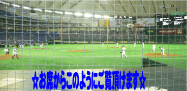 �X�^�[�V�[�g�E�����Ȃ���̌i�F�I