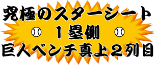 2010�N�@�����h�[���@�X�^�[�V�[�g�@