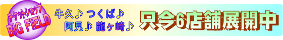�`�P�b�g�V���b�v�r�b�N�t�B�[���h�@�X�܏Љ�y�[�W